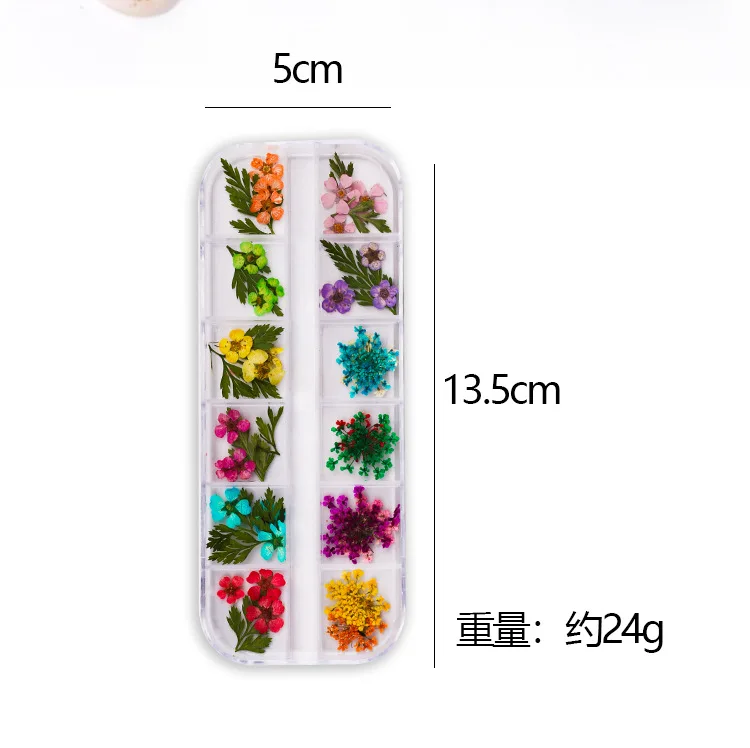 Wholesale Dried Flowers for Resin Mold Nail Art Small Tiny Real Natural Flower Decoration Supplies