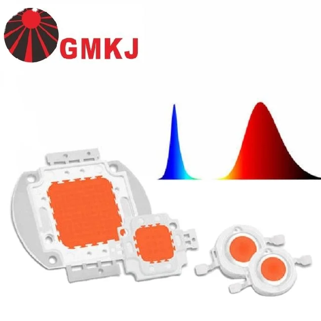 Hot Sale Pure Copper Base 20w-100w cob led grow light white 4000k full spectrum for grow light