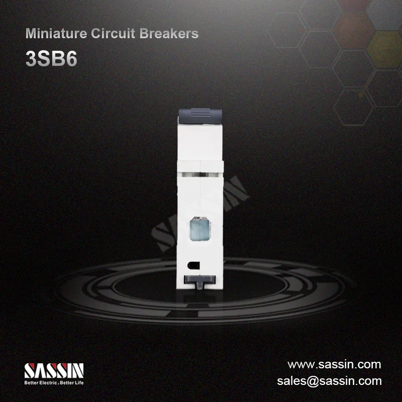 3SB6 63amp SASSIN 1P 2P 3P 4P 1 Pole prices china Mcb Type MCB