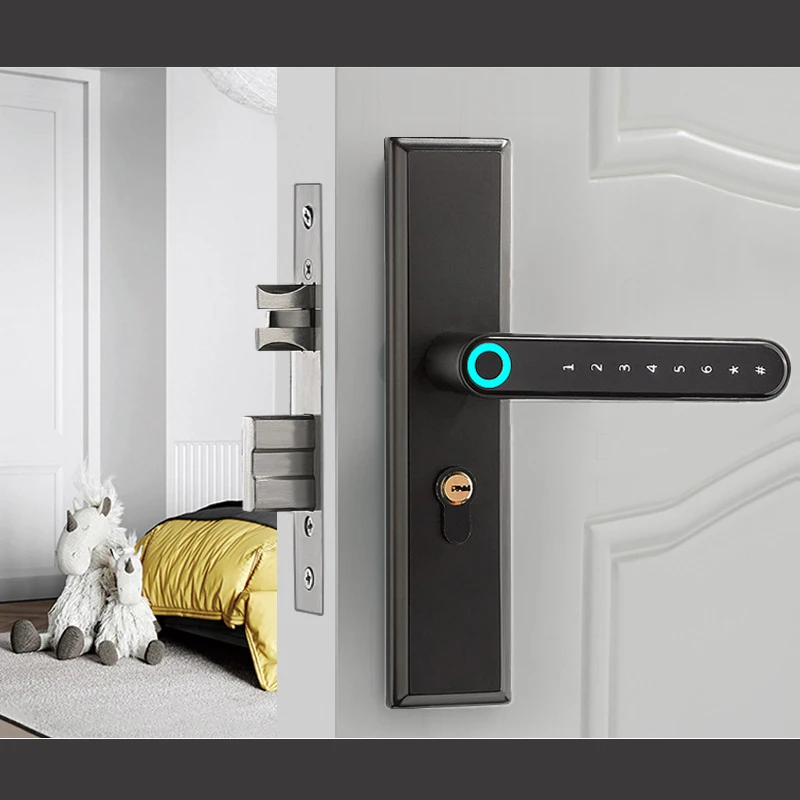 Smart Door Lock With Fingerprint and Keypad and  WIFI App Access Bored Tubular or Mortise For Home Office lock