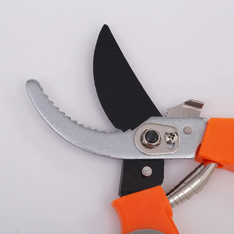 Horticulture Scissors Tree Pruning Shears Garden Pruners