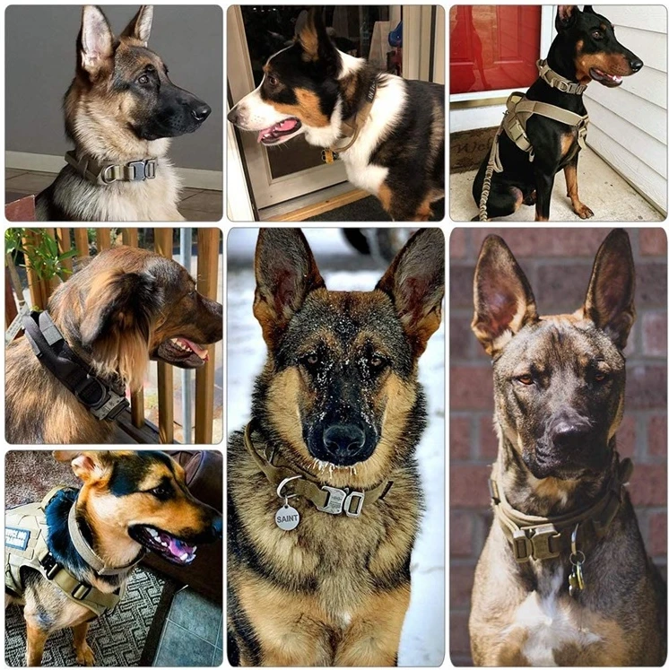 custom logo Dog Collar With Handle Durable Nylon Dog Collar Adjustable Training Collar For Large Dogs K9