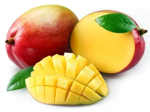 
High Quality Fresh Fruit Keitt Mango 
