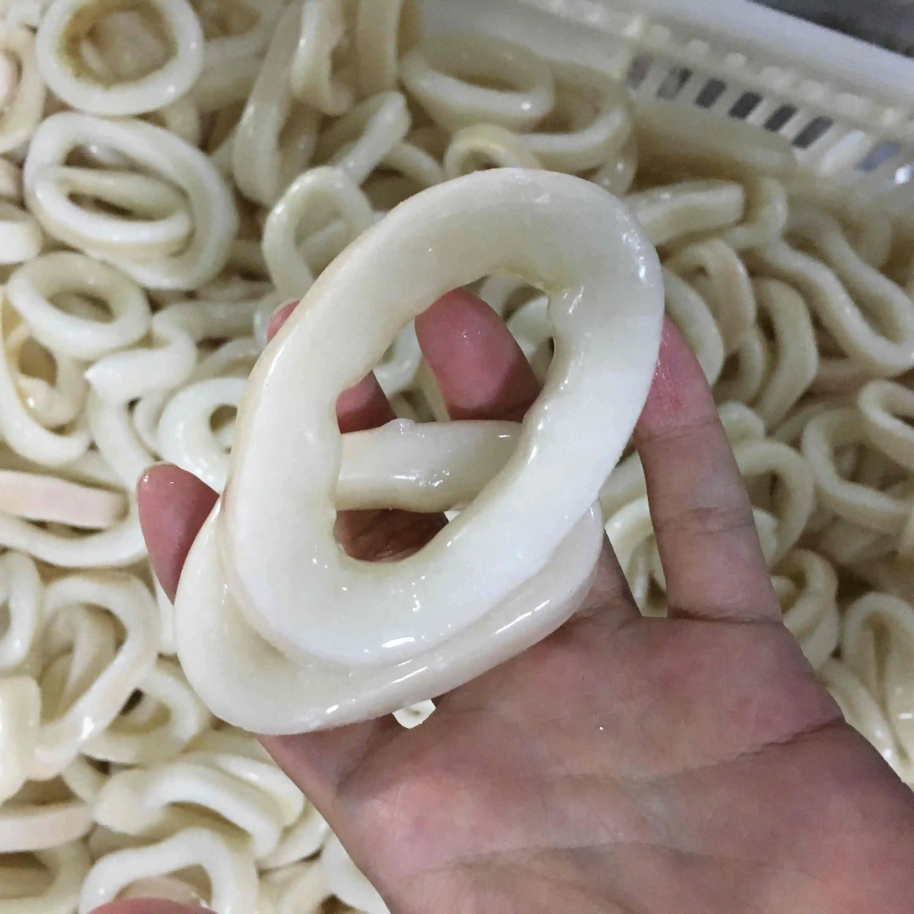 Frozen boiled indian ocean squid  ring with yellow spot off