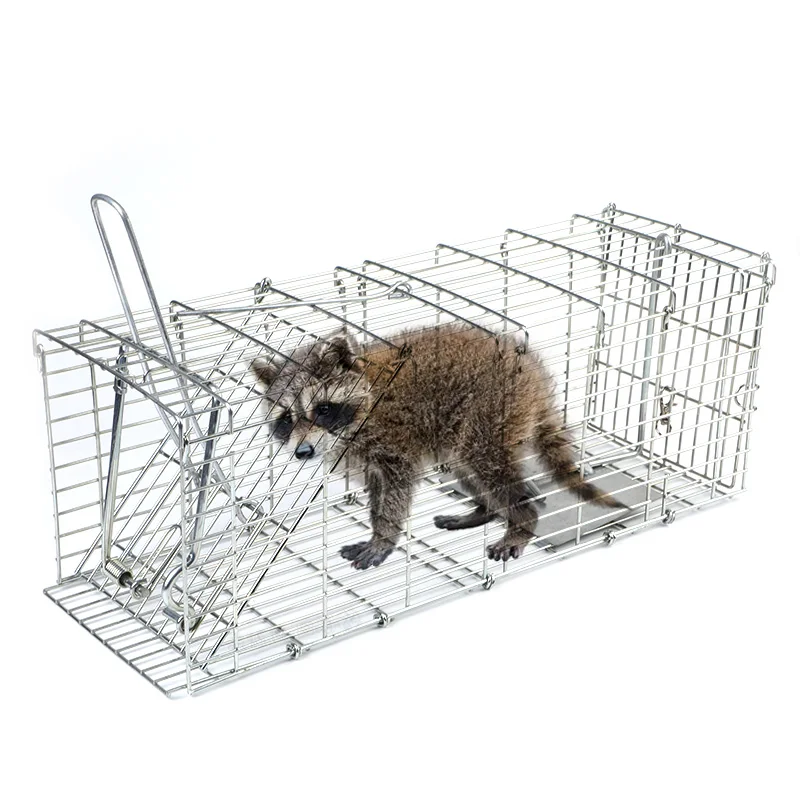 Customized Humane Galvanized Iron Foldable Living Wild Animal Traps for Farmers, Animal Trap Cage