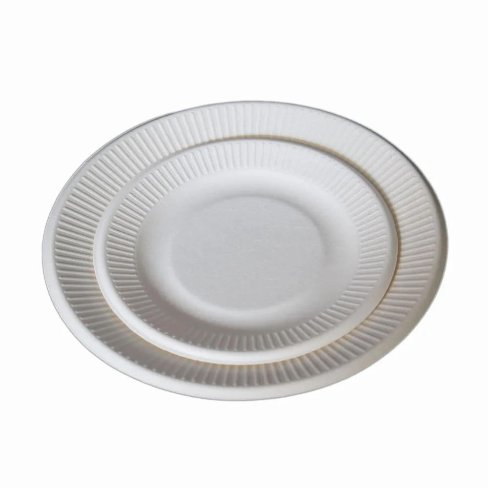 100 compostable biodegradable disposable paper plate