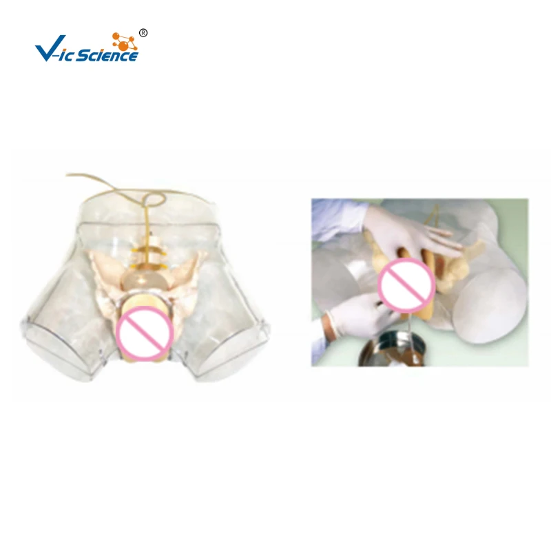 Advanced transparent female urethral catheterization model injection practice model