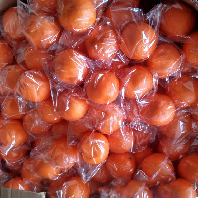 Watermelon Peaches Apples Pitaya Freeze Dried Dragon Artificial Vegetables Fruit For Decoration