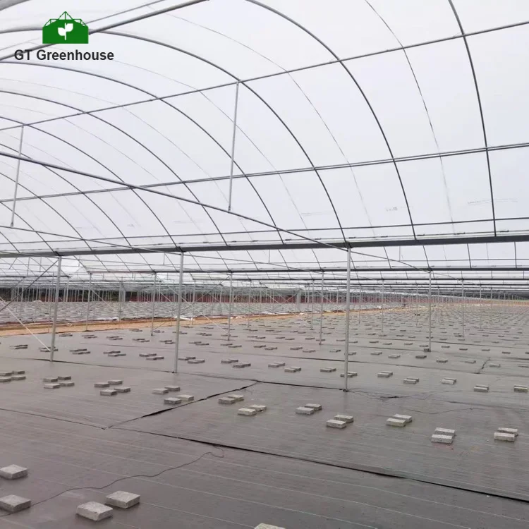 Agricultural product poly tunnel multi-span greenhouses with hydroponic growing system