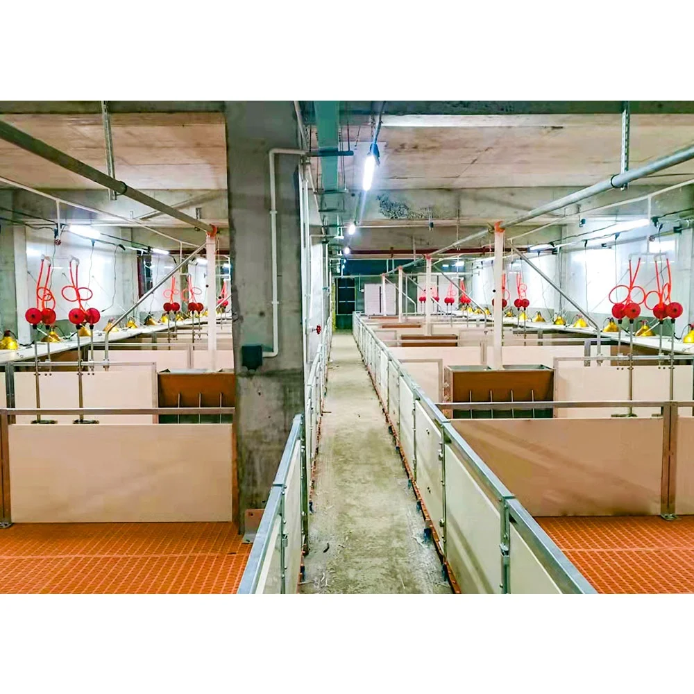 Hengyin high quality low price piggery farm equipment pig farms for sale piggery house