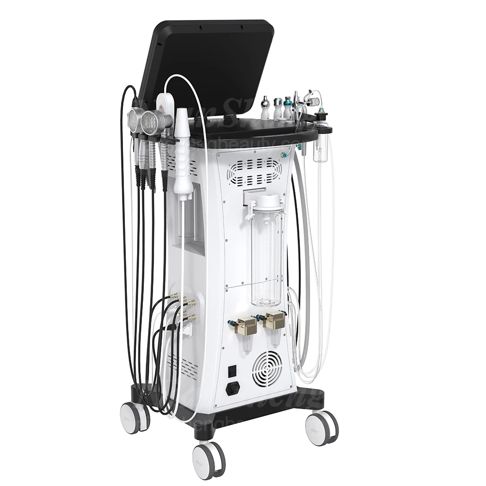 Niansheng  Hot Sell 15 in 1 Professional hydro microdermabrasion hydra dermabrasion machine facial machine