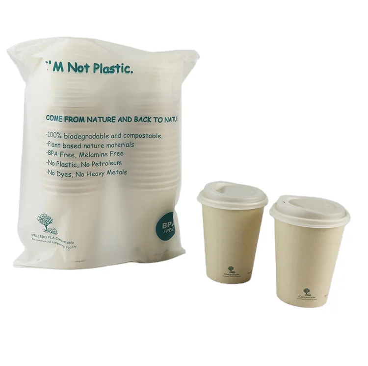 
12oz Ready To Ship Eco-friendly Disposable Biodegradable PLA coated Paper Cups with PLA Lids 