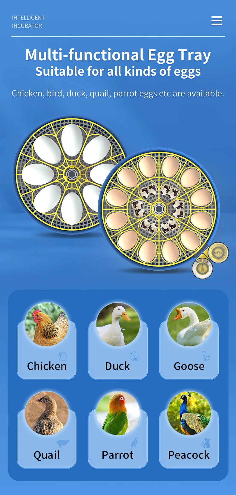 WONEGG New Trend 18 Egg Incubators Motors Poultry Egg Incubator In Dubai Price