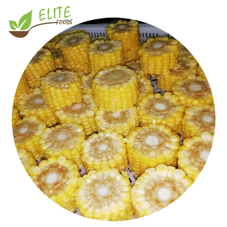
2020 New Season Frozen IQF Sweet Corn Cob Cuts 
