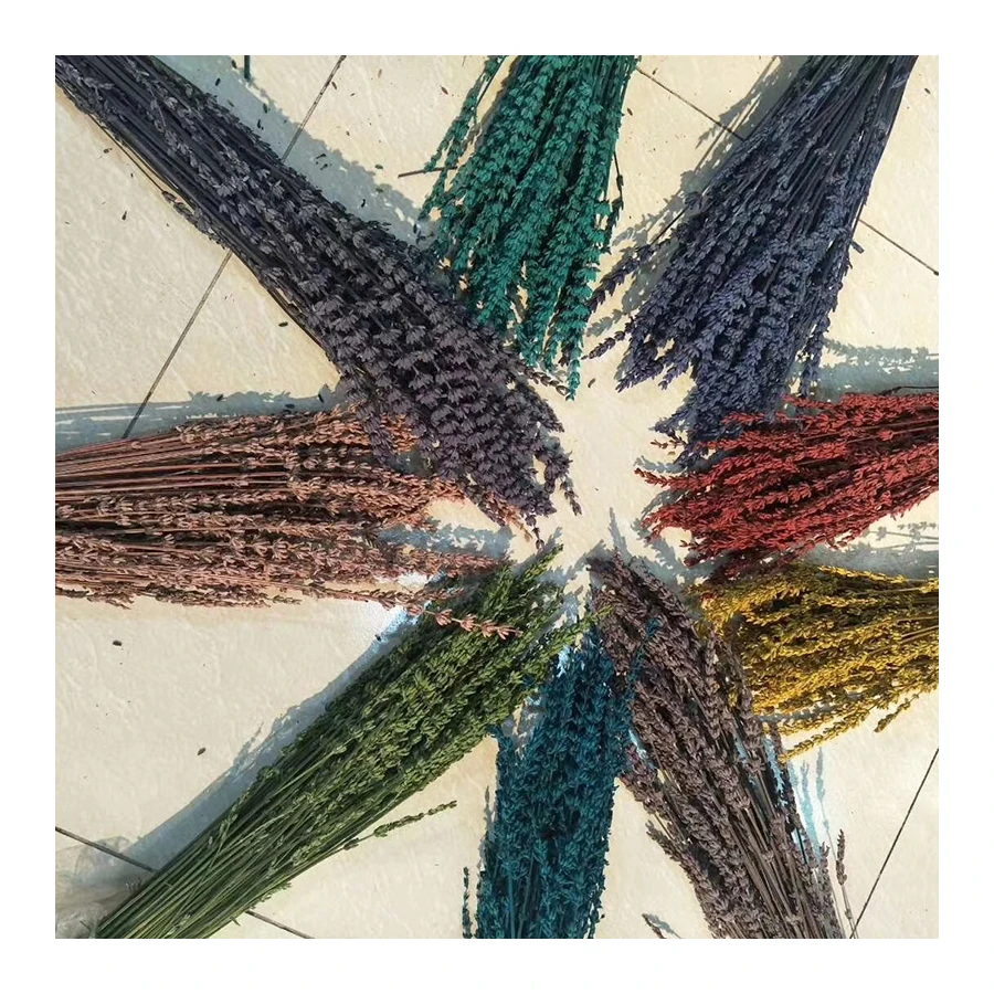 
Chinese supplier Natural Multi-colored preserved flower lavender for wedding decor 