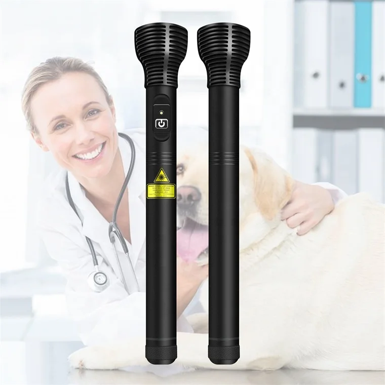 808nm laser pointer acupuncture cold laser for pain nerves muscles deep tissues stimulation