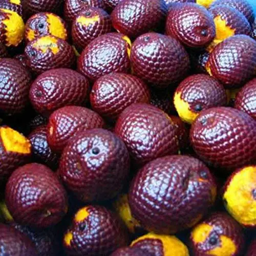 Private Label Organic 100% Pure Buriti Oil Natural Aguaje Fruit Oil Moisturizer for Skin, Hair and Face