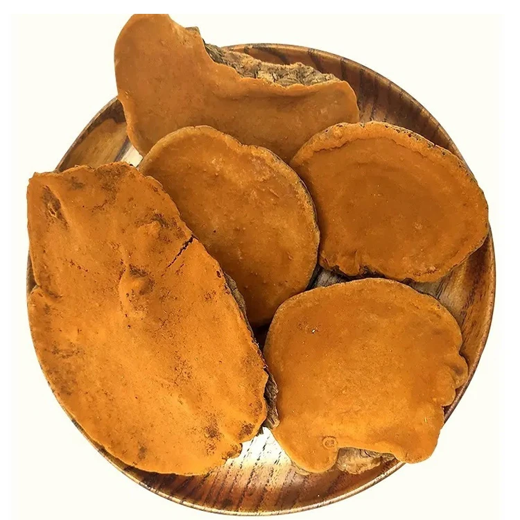 Sang Huang Bulk Dried Phellinus Linteus and Phellinus Igniarius Wild Mushrooms Single Spices & Herbs