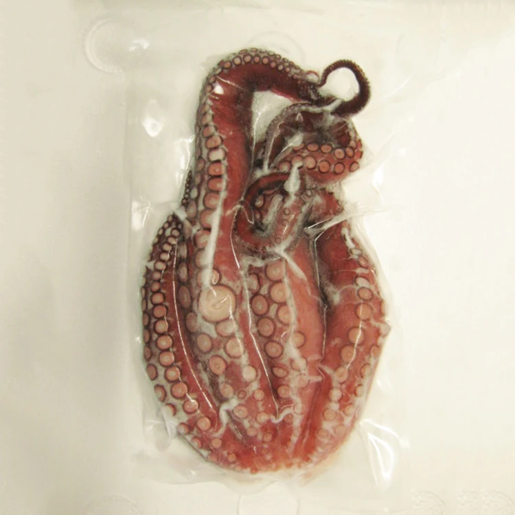 Japan frozen steamed Octopus legs 500g Bo tako productos para sushi supplies