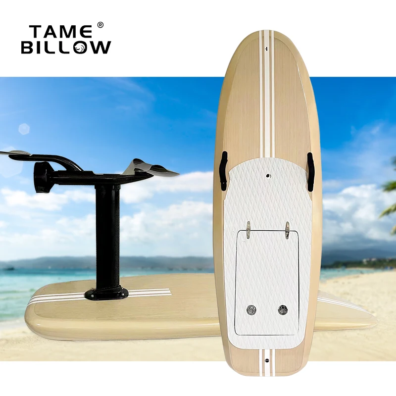 Outdoor Sport Water Sport Electric Foil Board Carbon fiber Material Efoil Surfboard With motor