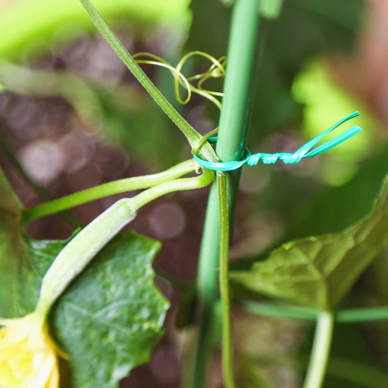 Wholesale 20/30/50/100M Plant Twist Tie Garden Plant Twist Ties Hand Tool Gardening Plant Green Twist Tie