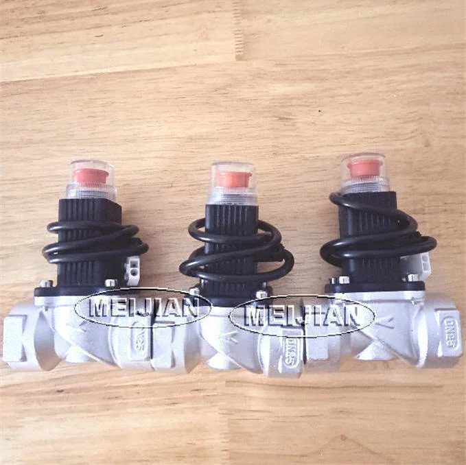 New condition and after sell service provided lpg gas solenoid valve 12V/24V