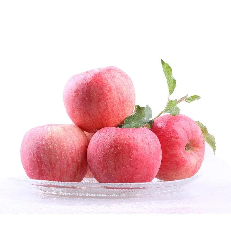Fuji Apple Hot Selling Chinese Newest Crop Fresh Fruit Red Pome Fruit 1 Container TOP a Grade Carton RAYEN Round