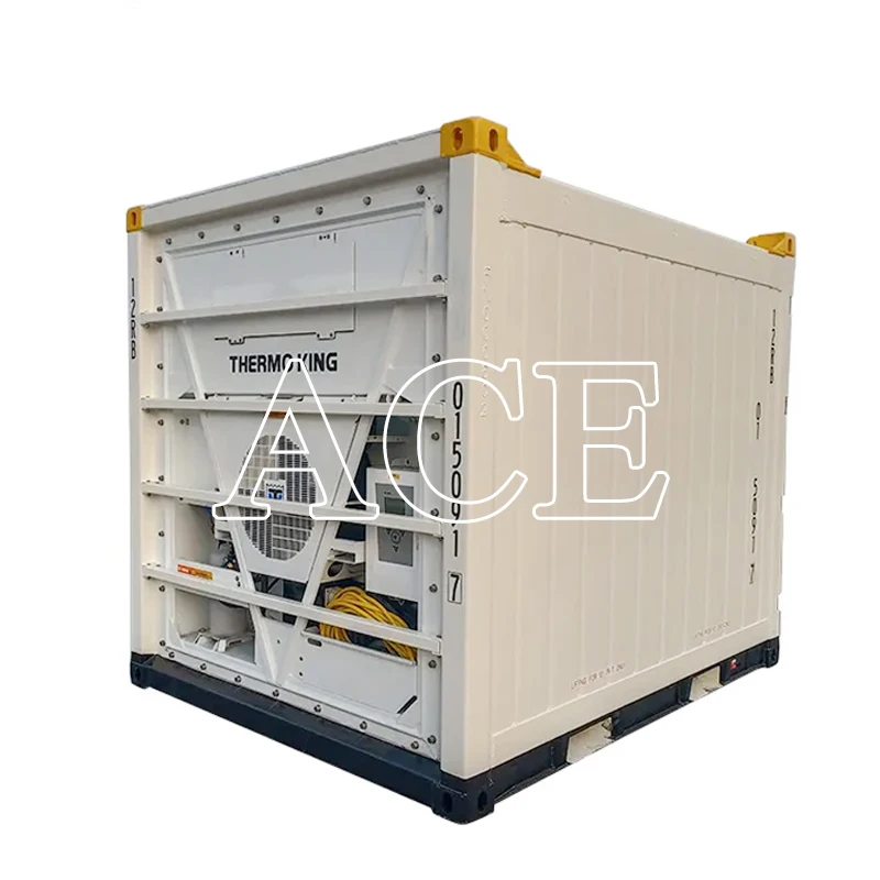 Новый РЕФРИЖЕРАТОРНЫЙ контейнер DNV 2 7-1 10 футов сертификаты CSC/BV стальной алюминий