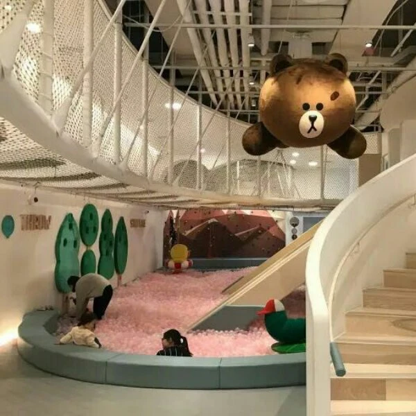 child playground indoor play net