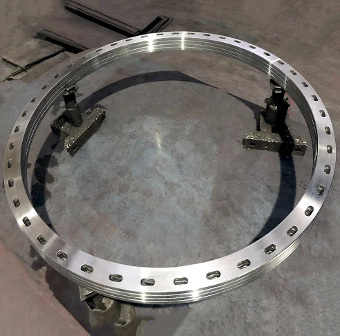 Forged Steel Flange WN THREAD BL SW LJ stainless steel flange customized specification