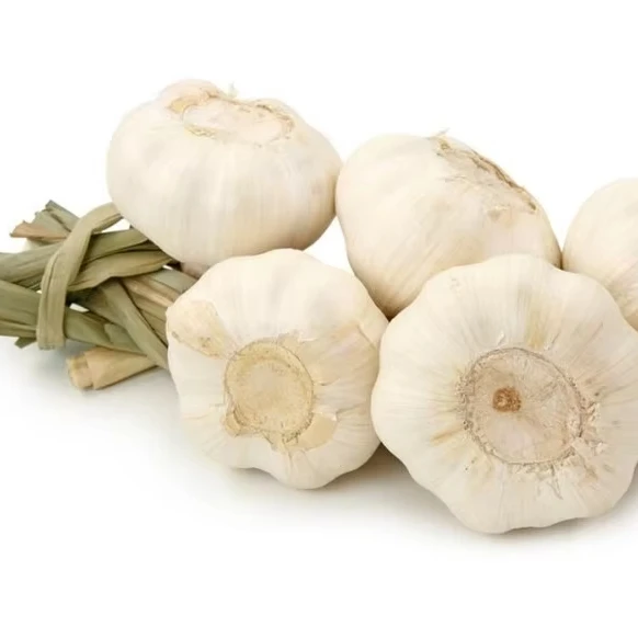 chinese garlic price / low rates fresh garlic of high quality / small packing white garlic