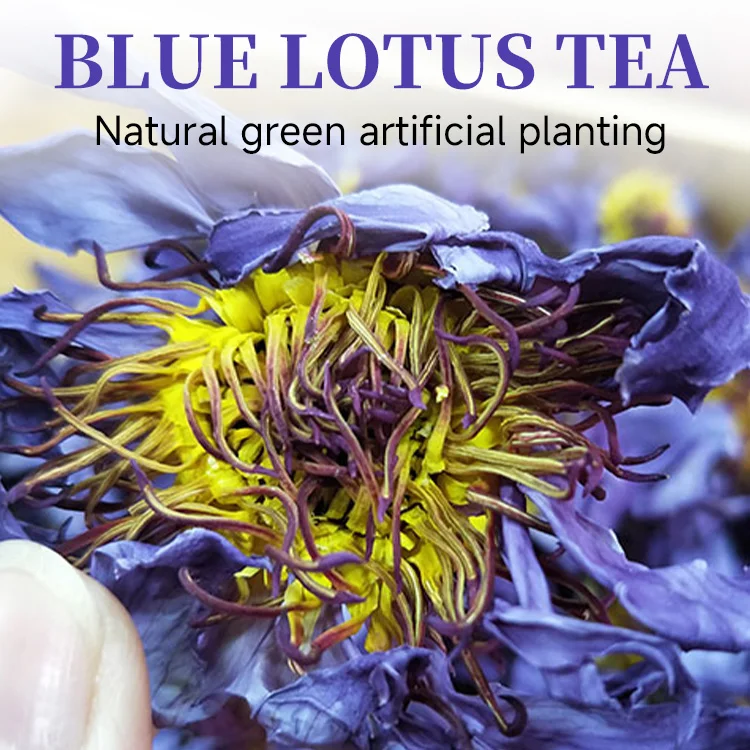 Factory Price Wholesale Healthy Cigarettes Calm Blue Lotus Flower Dried Herbal Nymphaea Caerulea
