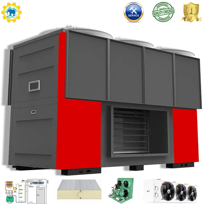 Hot Air Heat Pump Fruits Vegetables Raisin Grape Hot Air Heat Pump Drying Machine pecan dryer machine