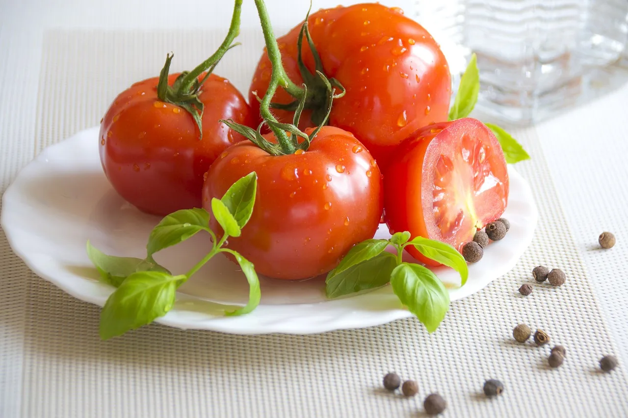 Greece HOT sell Fresh Tomato sweet  Natural red  Best quality wholesale export fresh tomato