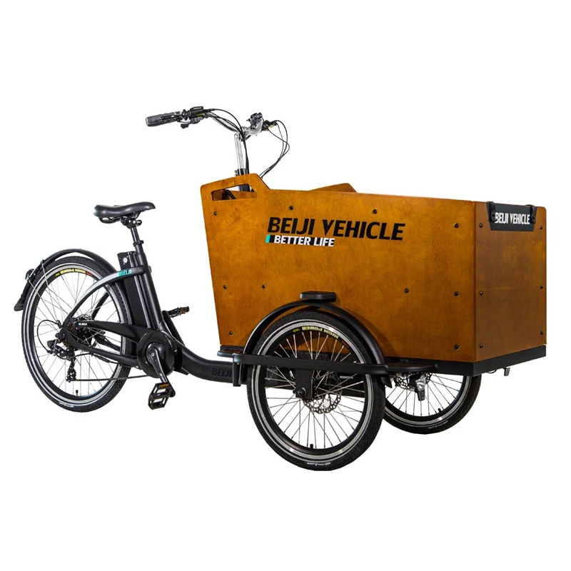250w electric cargo bike manufacture  3 wheel tricycle for family bike with seats