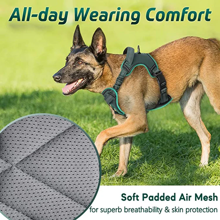 Adjustable Dog Walking Harness with 2 Metal Clips & Shock-Absorbing Bungee Straps