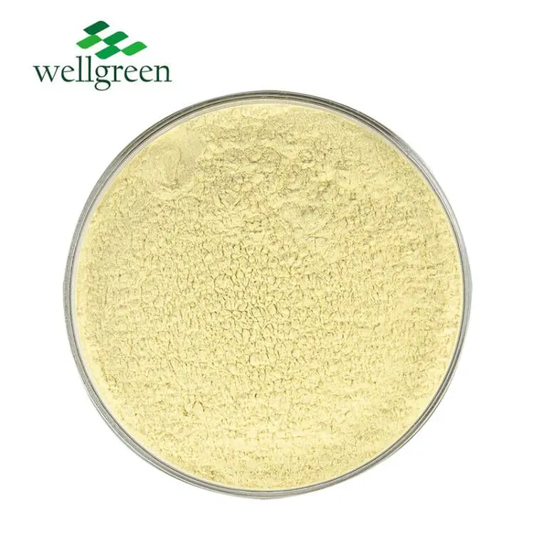 Low Maq Coptis Chinensis Berberis Aristata Extract HCL 633-65-8 Berberine Hydrochloride Powder
