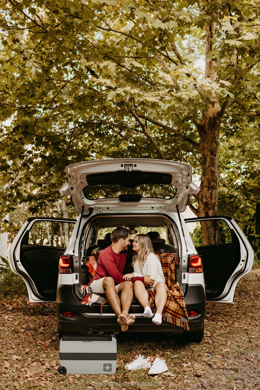 Alpicool Popular Connected  Car Cigarette Lighter  Refrigerator 12v Two Zone  Compressor DC Chest Freezer