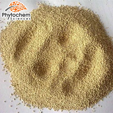 Good quality  Hot Sale 100% Pure natural Yeast Extract 80%-85% Beta Glucan 1,3/1,6