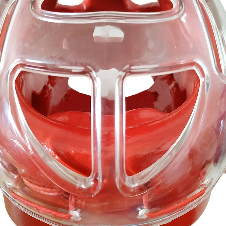 Taekwondo Karate Shin Protectors Instep Padded Foot Guards Adjustable Strap Protective Gear