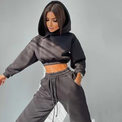 Wholesale Gym Wear Women Tracksuit Winter Sport Suits 2 Piece Set Casual Outfit Pullover Crop Top Hoodie+Sweatpants Jogger Set