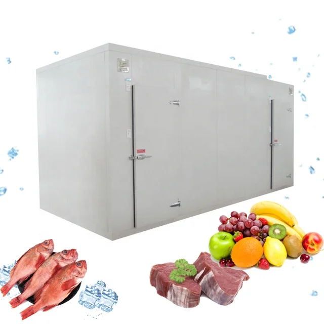 CA System Cold Storage For Garlic, Onion, Apple, Cherry Potato Cold Storage Room