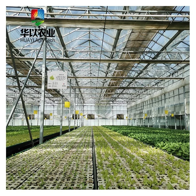 Agriculture Vegetables Hydroponic Systems Multi-Span Glass Greenhouse