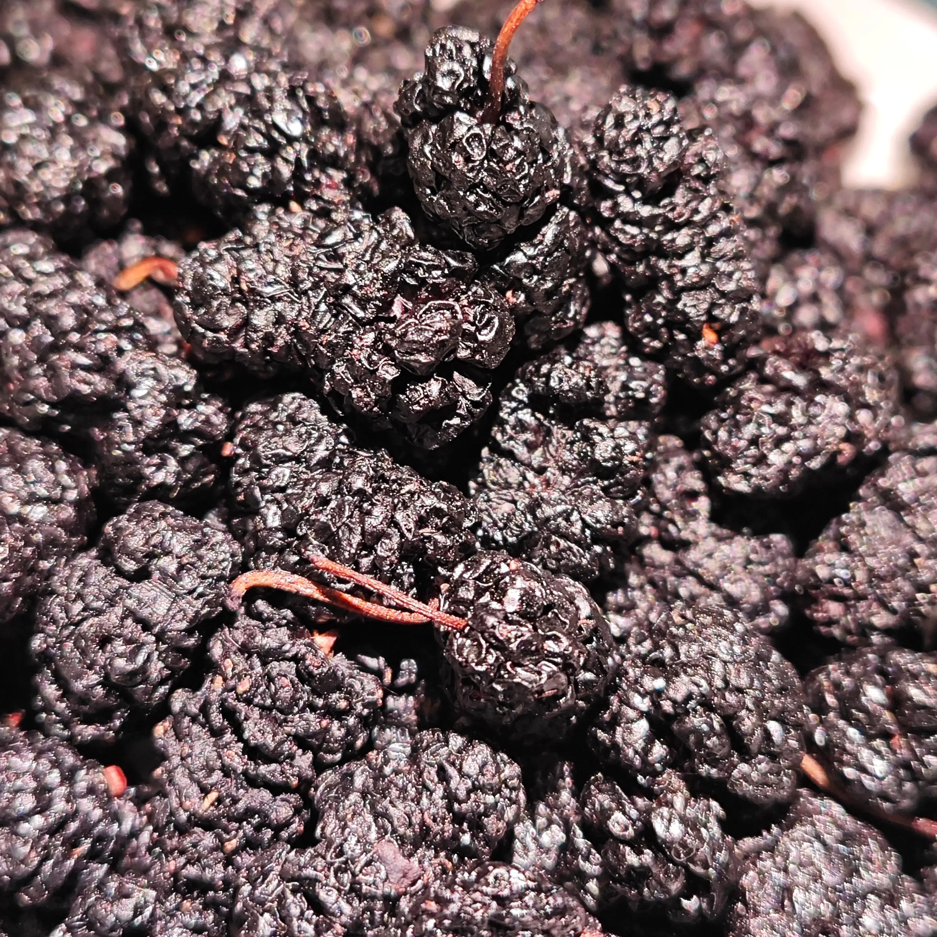 Здоровые сухофрукты AD mulberry замочить в воде для здоровья