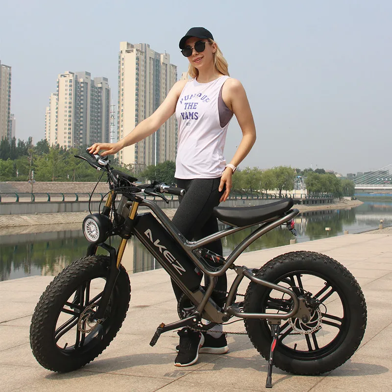 20 Inch Snow off-road fat tire ebike Electric Bike 48V17.5AH aluminum alloy enduro ebike frame e bike