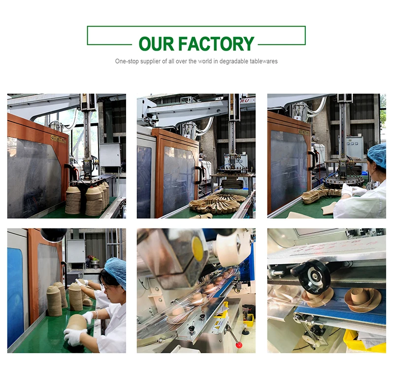 Company Information-4