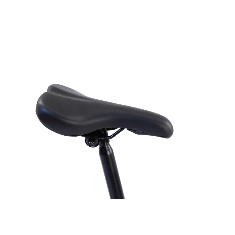 folding bike15.jpg