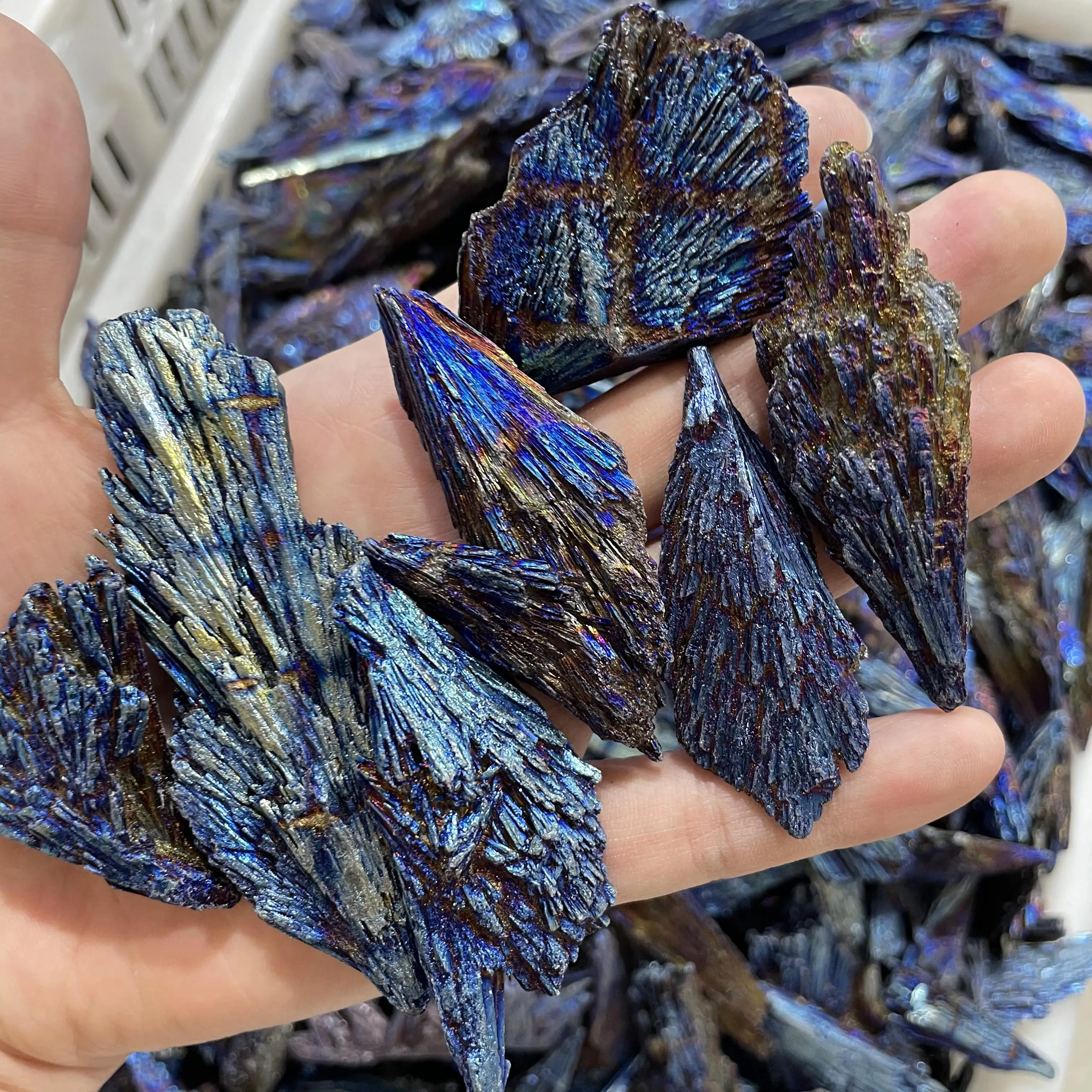 Wholesale natural blue electroplated black tourmaline peacock feather rough stones angel aura minerial stones