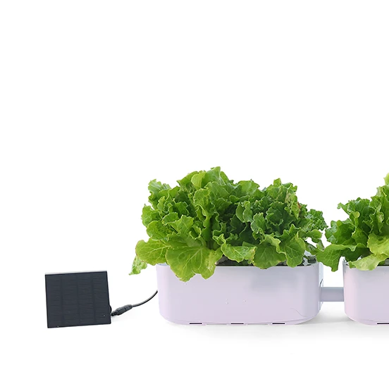 RY Factory direct sell drip irrigation system growing equipment indoor greenhouses structure with hydroponic system