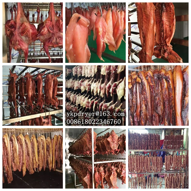 Good quality Machine for drying sea food machinery to dry mushroom meat dryer